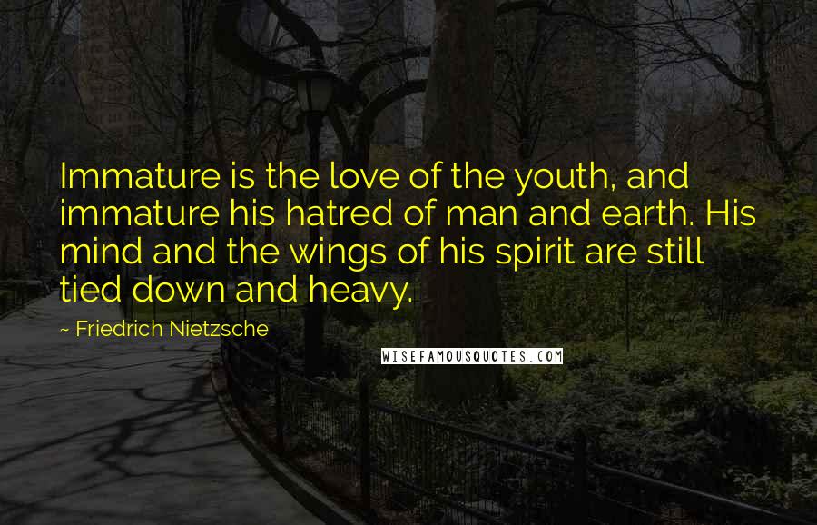 Friedrich Nietzsche Quotes: Immature is the love of the youth, and immature his hatred of man and earth. His mind and the wings of his spirit are still tied down and heavy.