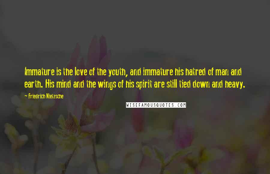 Friedrich Nietzsche Quotes: Immature is the love of the youth, and immature his hatred of man and earth. His mind and the wings of his spirit are still tied down and heavy.