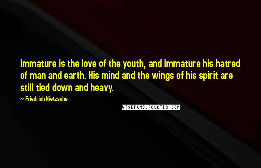 Friedrich Nietzsche Quotes: Immature is the love of the youth, and immature his hatred of man and earth. His mind and the wings of his spirit are still tied down and heavy.