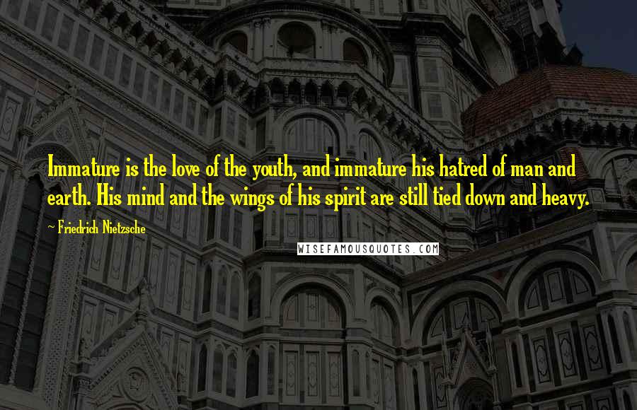 Friedrich Nietzsche Quotes: Immature is the love of the youth, and immature his hatred of man and earth. His mind and the wings of his spirit are still tied down and heavy.