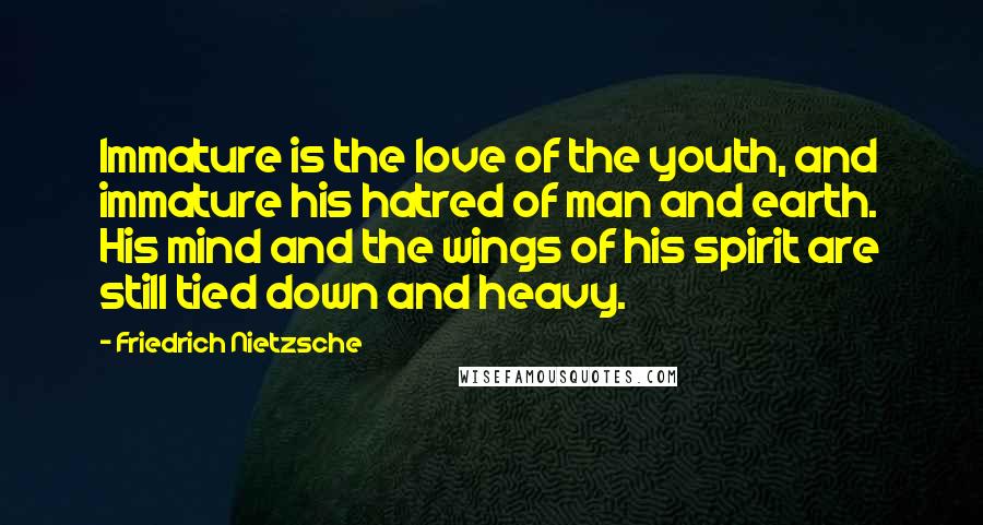 Friedrich Nietzsche Quotes: Immature is the love of the youth, and immature his hatred of man and earth. His mind and the wings of his spirit are still tied down and heavy.