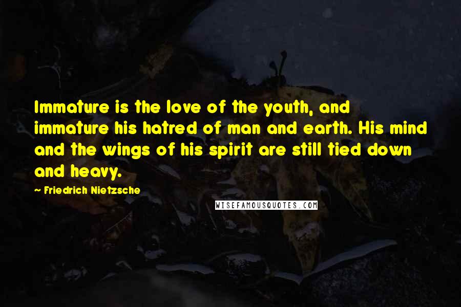 Friedrich Nietzsche Quotes: Immature is the love of the youth, and immature his hatred of man and earth. His mind and the wings of his spirit are still tied down and heavy.