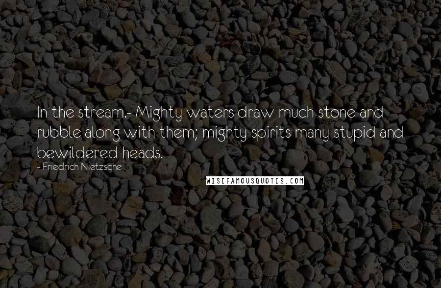 Friedrich Nietzsche Quotes: In the stream.- Mighty waters draw much stone and rubble along with them; mighty spirits many stupid and bewildered heads.