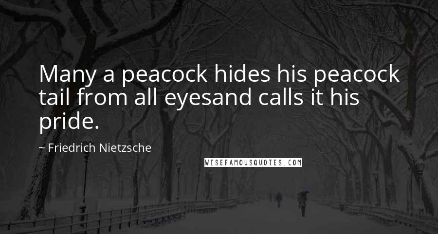 Friedrich Nietzsche Quotes: Many a peacock hides his peacock tail from all eyesand calls it his pride.