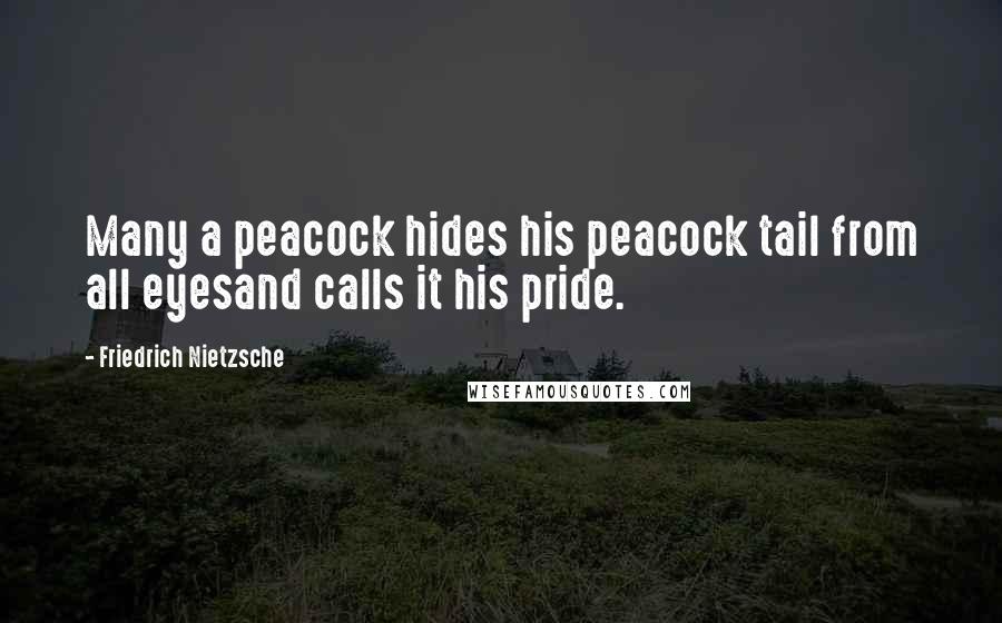 Friedrich Nietzsche Quotes: Many a peacock hides his peacock tail from all eyesand calls it his pride.