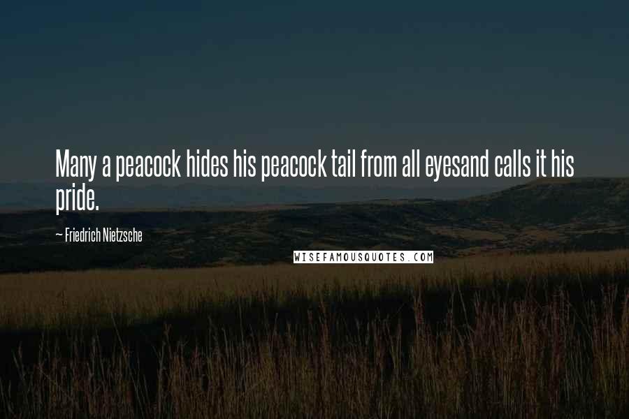 Friedrich Nietzsche Quotes: Many a peacock hides his peacock tail from all eyesand calls it his pride.