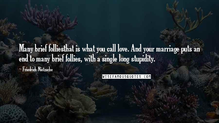 Friedrich Nietzsche Quotes: Many brief folliesthat is what you call love. And your marriage puts an end to many brief follies, with a single long stupidity.