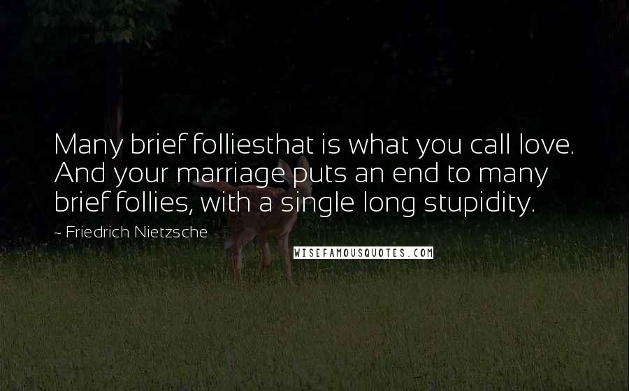 Friedrich Nietzsche Quotes: Many brief folliesthat is what you call love. And your marriage puts an end to many brief follies, with a single long stupidity.