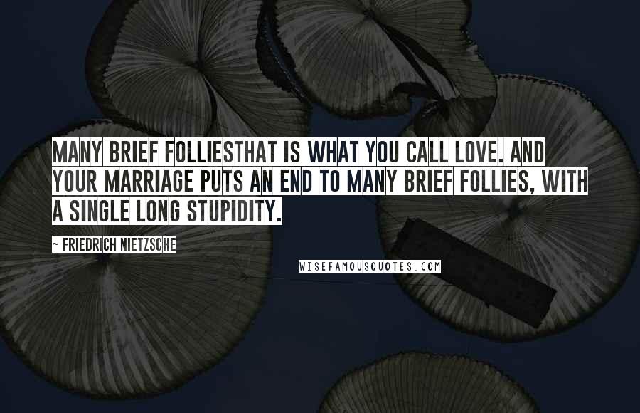 Friedrich Nietzsche Quotes: Many brief folliesthat is what you call love. And your marriage puts an end to many brief follies, with a single long stupidity.