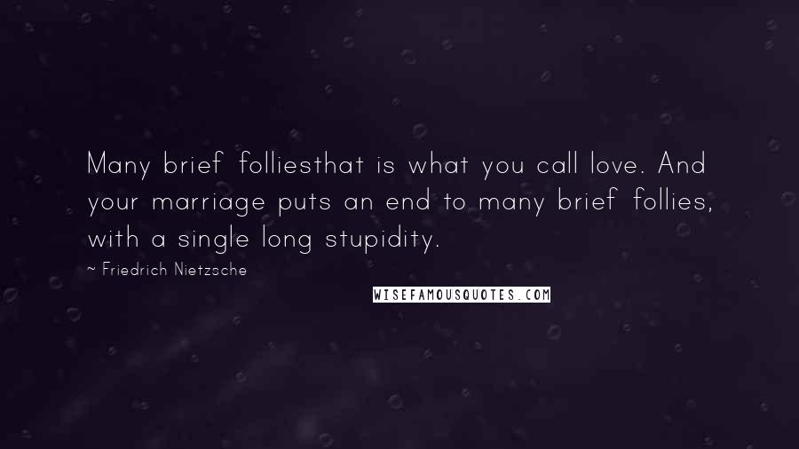 Friedrich Nietzsche Quotes: Many brief folliesthat is what you call love. And your marriage puts an end to many brief follies, with a single long stupidity.