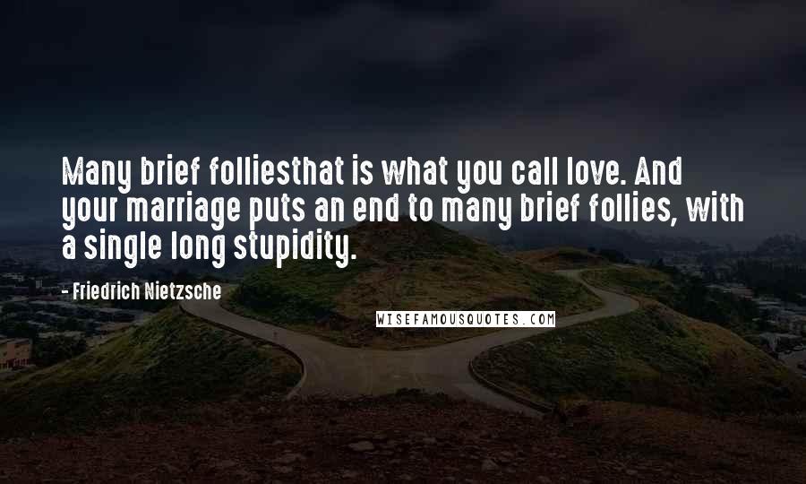 Friedrich Nietzsche Quotes: Many brief folliesthat is what you call love. And your marriage puts an end to many brief follies, with a single long stupidity.