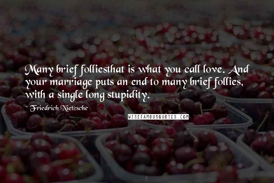 Friedrich Nietzsche Quotes: Many brief folliesthat is what you call love. And your marriage puts an end to many brief follies, with a single long stupidity.