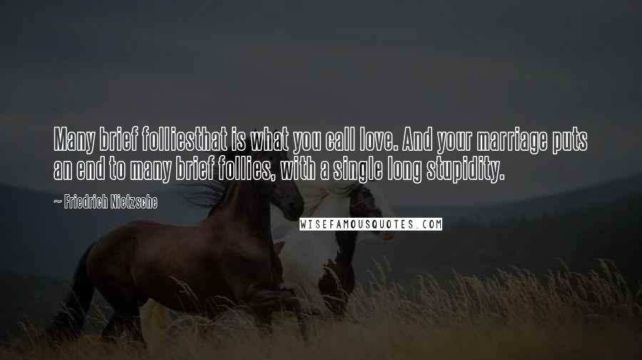 Friedrich Nietzsche Quotes: Many brief folliesthat is what you call love. And your marriage puts an end to many brief follies, with a single long stupidity.