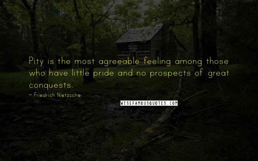 Friedrich Nietzsche Quotes: Pity is the most agreeable feeling among those who have little pride and no prospects of great conquests.