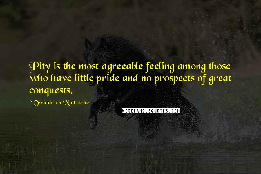 Friedrich Nietzsche Quotes: Pity is the most agreeable feeling among those who have little pride and no prospects of great conquests.