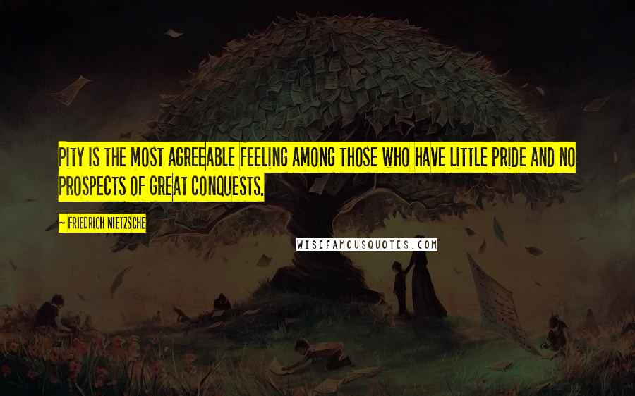 Friedrich Nietzsche Quotes: Pity is the most agreeable feeling among those who have little pride and no prospects of great conquests.