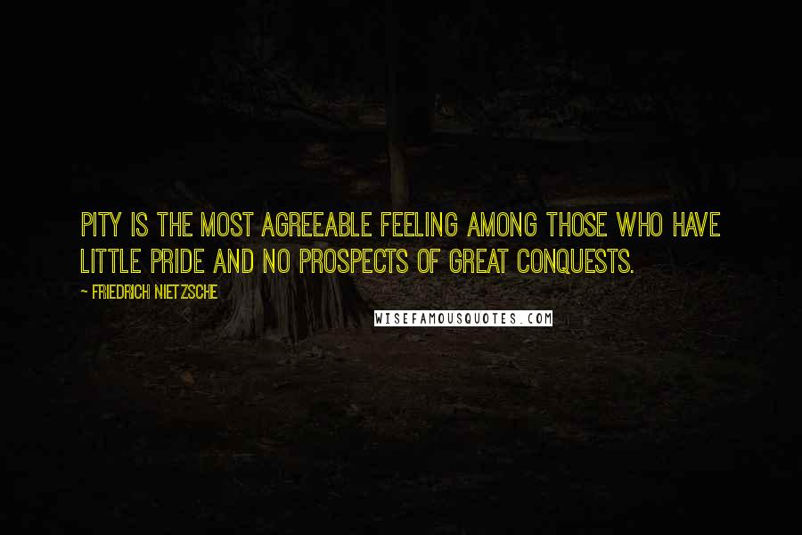 Friedrich Nietzsche Quotes: Pity is the most agreeable feeling among those who have little pride and no prospects of great conquests.