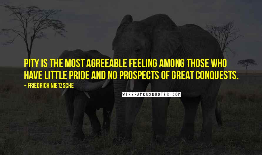 Friedrich Nietzsche Quotes: Pity is the most agreeable feeling among those who have little pride and no prospects of great conquests.