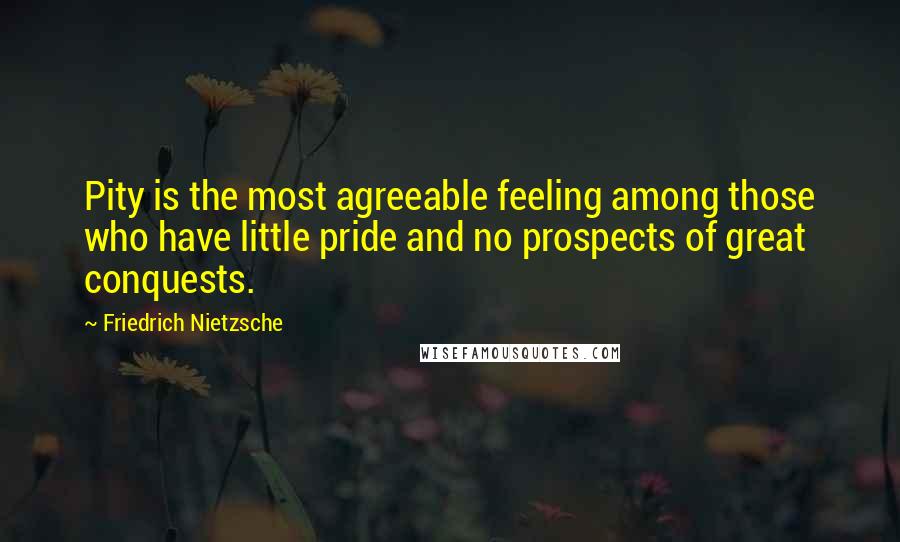 Friedrich Nietzsche Quotes: Pity is the most agreeable feeling among those who have little pride and no prospects of great conquests.