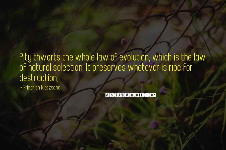 Friedrich Nietzsche Quotes: Pity thwarts the whole law of evolution, which is the law of natural selection. It preserves whatever is ripe for destruction;