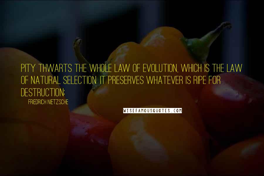 Friedrich Nietzsche Quotes: Pity thwarts the whole law of evolution, which is the law of natural selection. It preserves whatever is ripe for destruction;