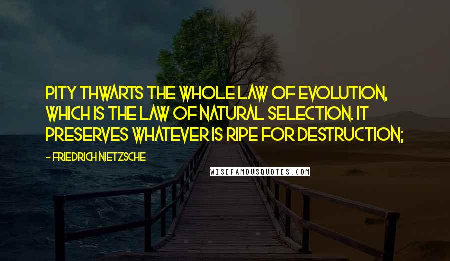 Friedrich Nietzsche Quotes: Pity thwarts the whole law of evolution, which is the law of natural selection. It preserves whatever is ripe for destruction;