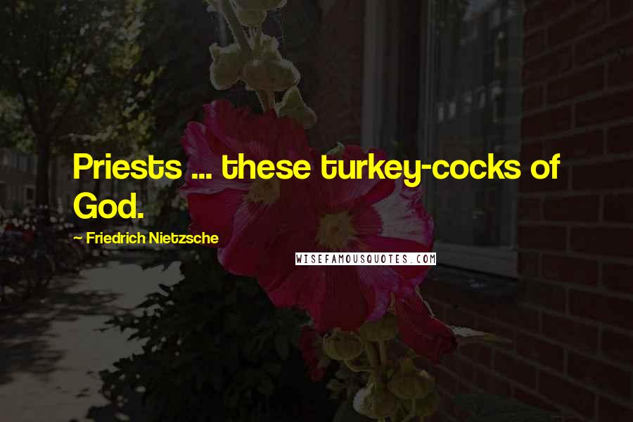 Friedrich Nietzsche Quotes: Priests ... these turkey-cocks of God.