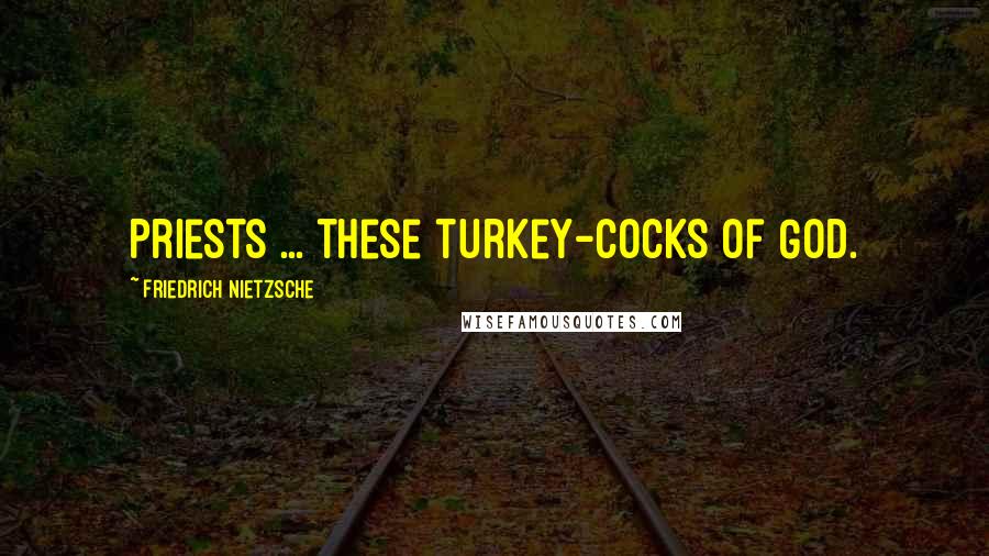 Friedrich Nietzsche Quotes: Priests ... these turkey-cocks of God.