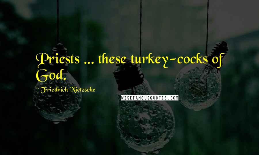 Friedrich Nietzsche Quotes: Priests ... these turkey-cocks of God.