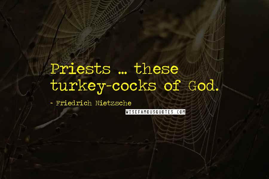 Friedrich Nietzsche Quotes: Priests ... these turkey-cocks of God.