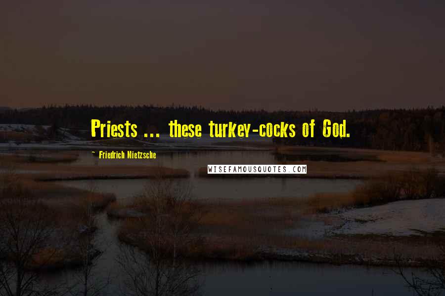 Friedrich Nietzsche Quotes: Priests ... these turkey-cocks of God.