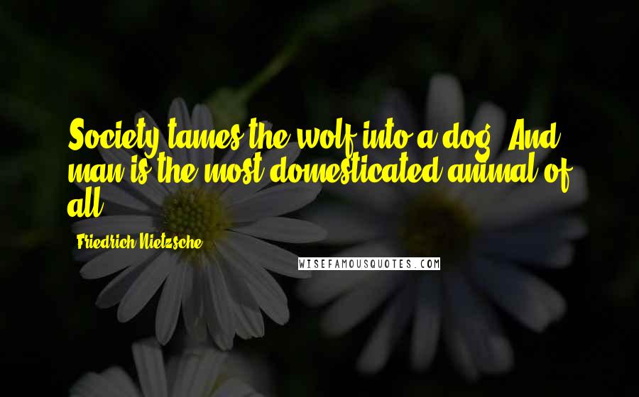 Friedrich Nietzsche Quotes: Society tames the wolf into a dog. And man is the most domesticated animal of all.