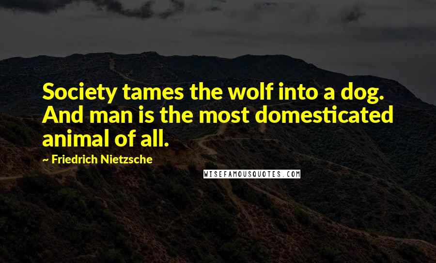 Friedrich Nietzsche Quotes: Society tames the wolf into a dog. And man is the most domesticated animal of all.