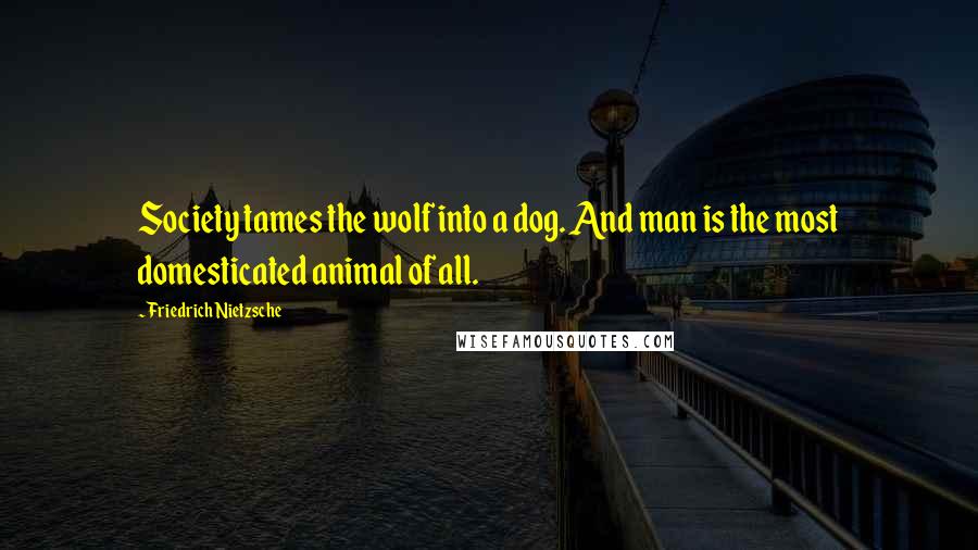 Friedrich Nietzsche Quotes: Society tames the wolf into a dog. And man is the most domesticated animal of all.