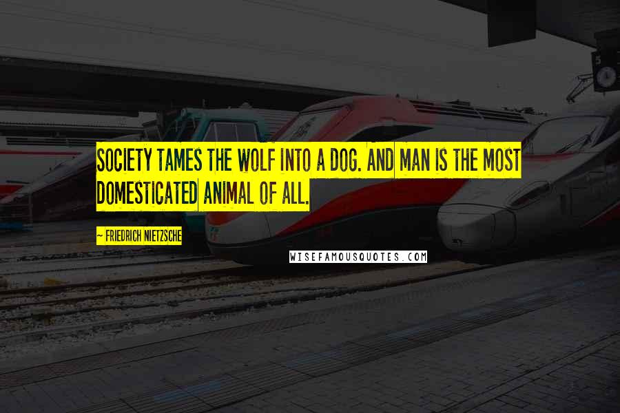 Friedrich Nietzsche Quotes: Society tames the wolf into a dog. And man is the most domesticated animal of all.