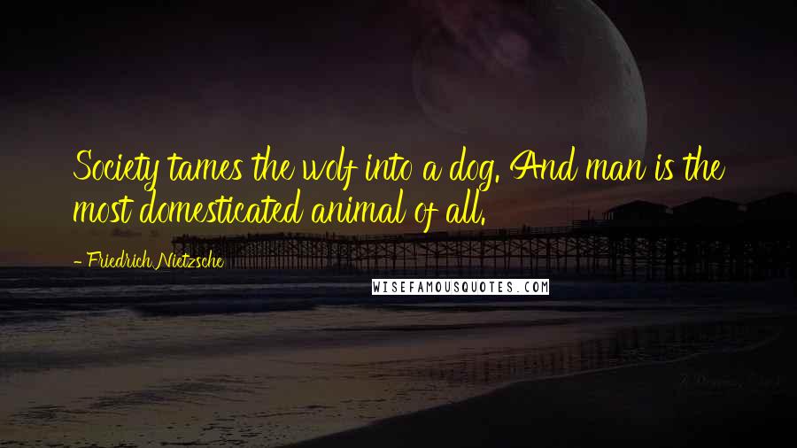 Friedrich Nietzsche Quotes: Society tames the wolf into a dog. And man is the most domesticated animal of all.