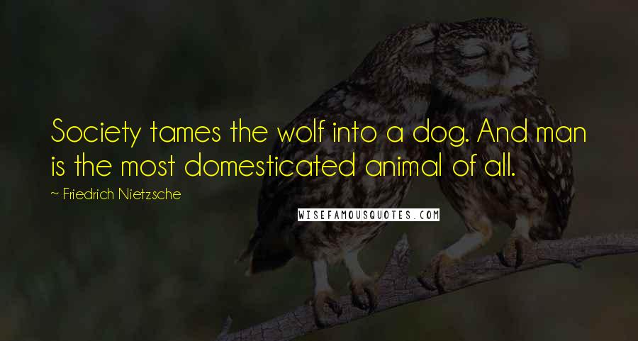 Friedrich Nietzsche Quotes: Society tames the wolf into a dog. And man is the most domesticated animal of all.