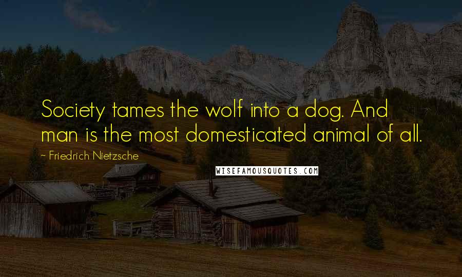 Friedrich Nietzsche Quotes: Society tames the wolf into a dog. And man is the most domesticated animal of all.