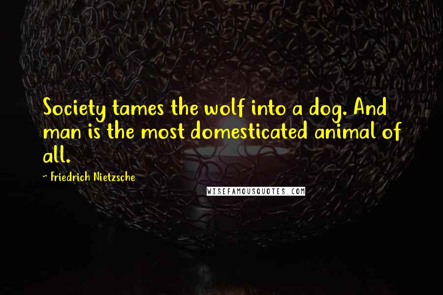 Friedrich Nietzsche Quotes: Society tames the wolf into a dog. And man is the most domesticated animal of all.