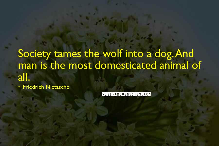 Friedrich Nietzsche Quotes: Society tames the wolf into a dog. And man is the most domesticated animal of all.