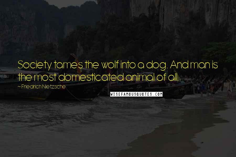 Friedrich Nietzsche Quotes: Society tames the wolf into a dog. And man is the most domesticated animal of all.