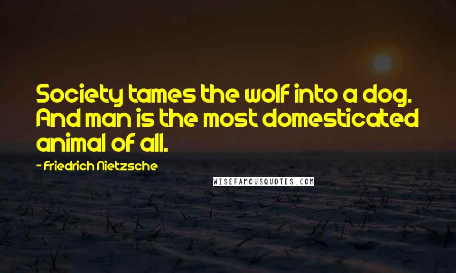 Friedrich Nietzsche Quotes: Society tames the wolf into a dog. And man is the most domesticated animal of all.