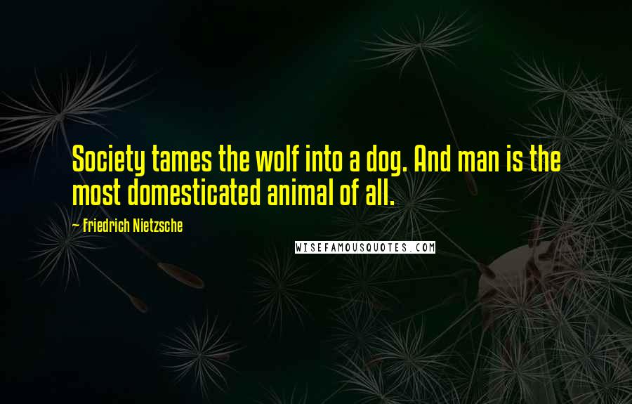 Friedrich Nietzsche Quotes: Society tames the wolf into a dog. And man is the most domesticated animal of all.