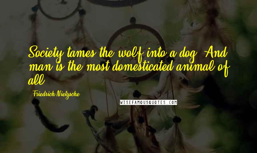 Friedrich Nietzsche Quotes: Society tames the wolf into a dog. And man is the most domesticated animal of all.