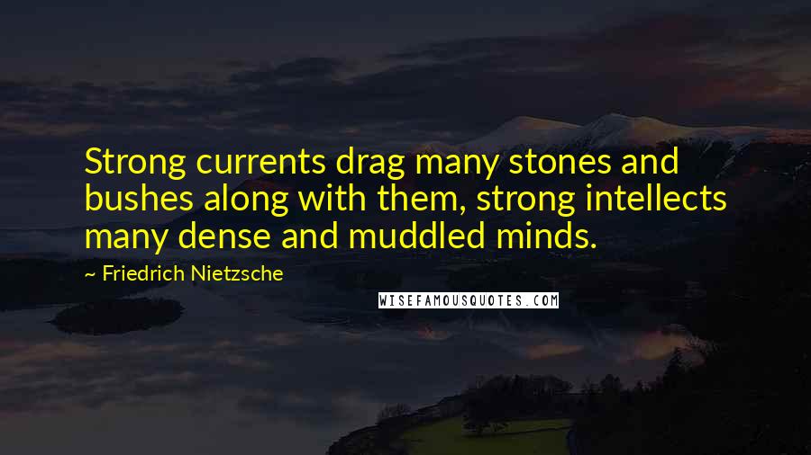 Friedrich Nietzsche Quotes: Strong currents drag many stones and bushes along with them, strong intellects many dense and muddled minds.