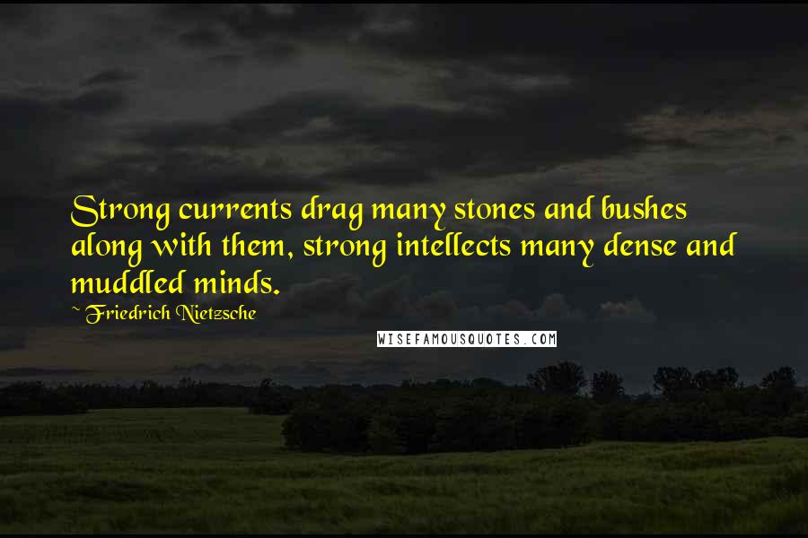 Friedrich Nietzsche Quotes: Strong currents drag many stones and bushes along with them, strong intellects many dense and muddled minds.