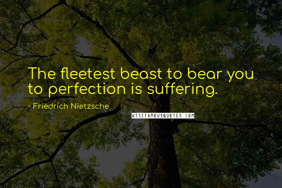 Friedrich Nietzsche Quotes: The fleetest beast to bear you to perfection is suffering.