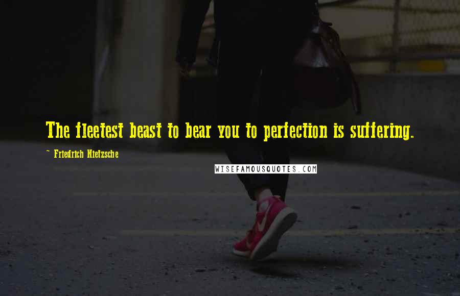 Friedrich Nietzsche Quotes: The fleetest beast to bear you to perfection is suffering.