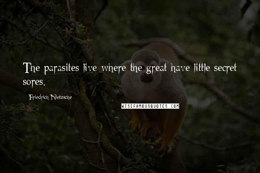 Friedrich Nietzsche Quotes: The parasites live where the great have little secret sores.
