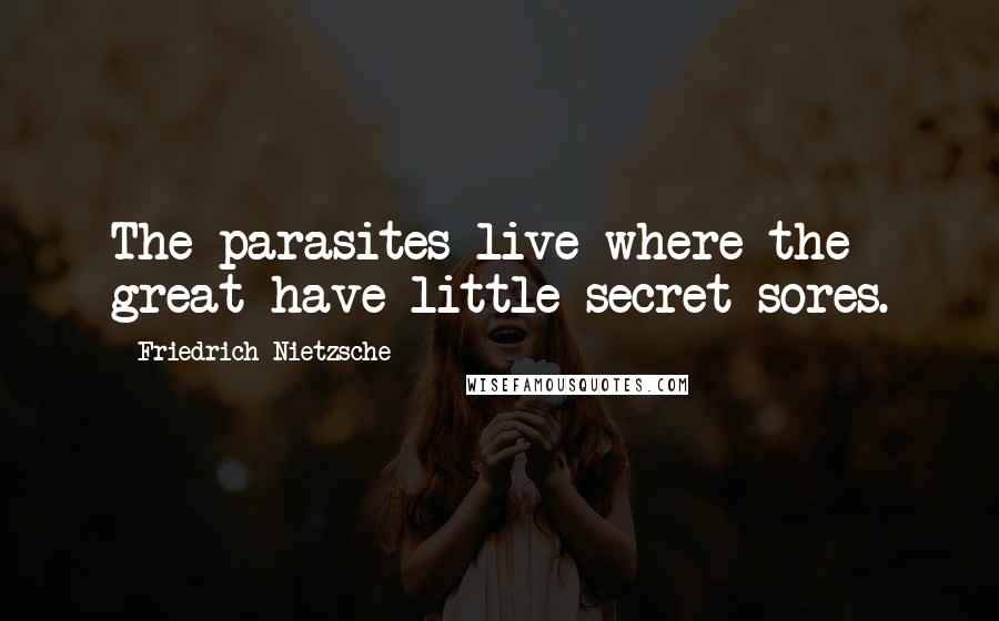 Friedrich Nietzsche Quotes: The parasites live where the great have little secret sores.